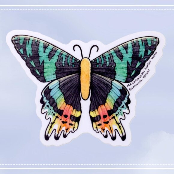 3 for $15 - Madagascan Sunset Moth‎ Sticker - Waterproof Vinyl Nature Decal - Picture 1 of 5
